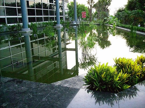 魚池水池保養服務